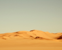 Das Sahara Desert Wallpaper 220x176