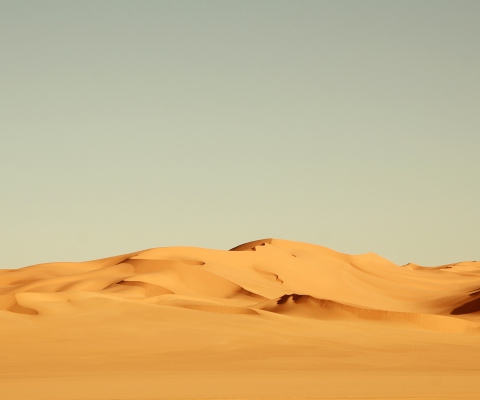 Sahara Desert screenshot #1 480x400