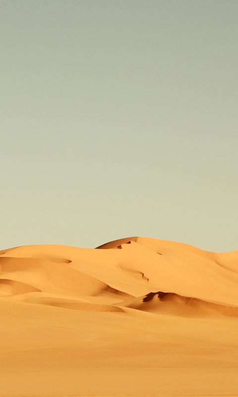 Fondo de pantalla Sahara Desert 480x800