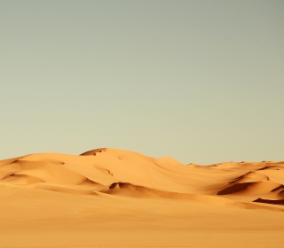 Sahara Desert Wallpaper for HP TouchPad