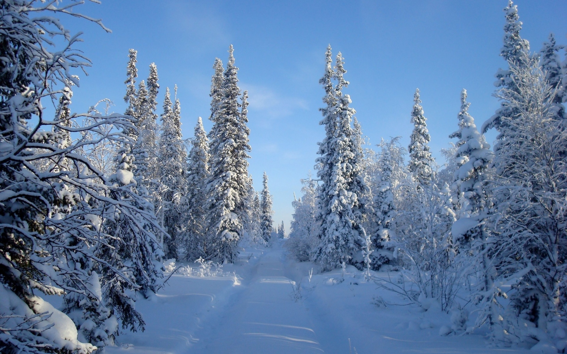 Sfondi Snowy winter 1920x1200