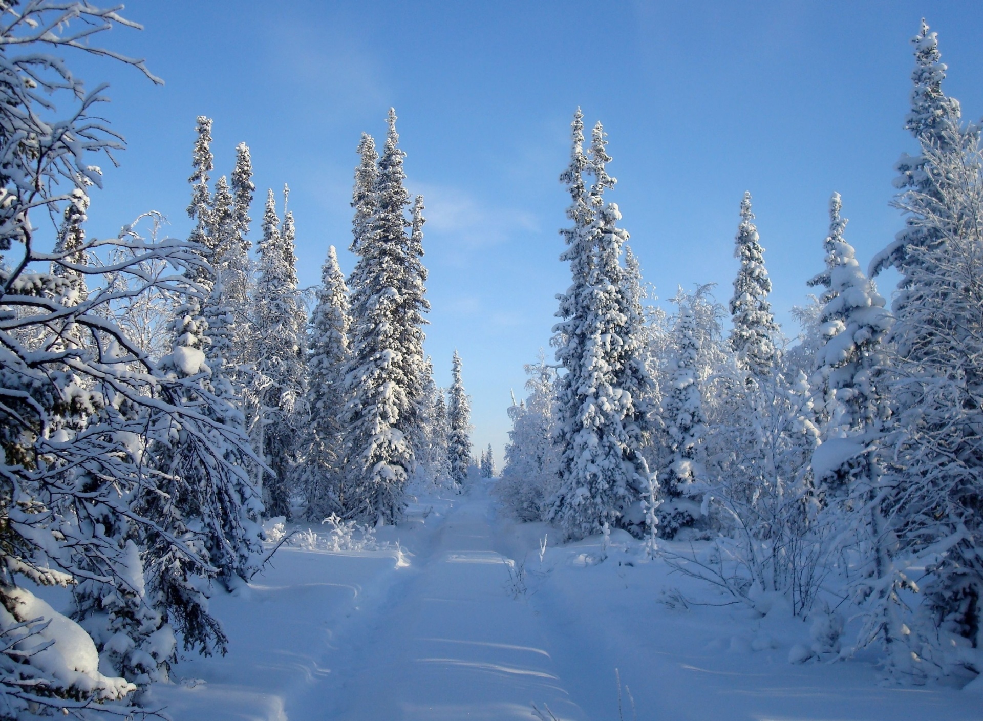 Sfondi Snowy winter 1920x1408