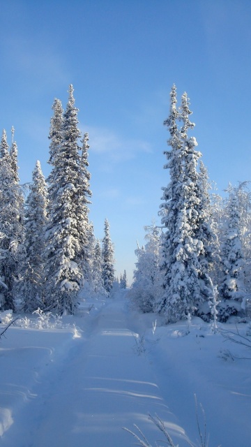 Sfondi Snowy winter 360x640