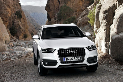 Audi Q5 screenshot #1 480x320