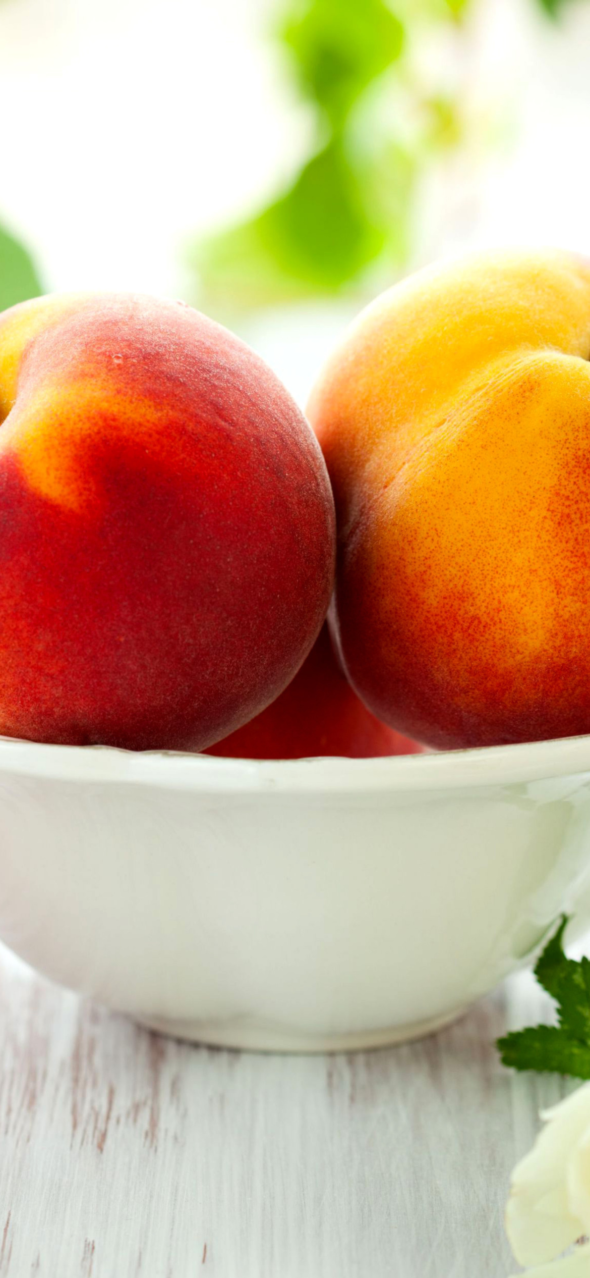 Nectarines and Peaches wallpaper 1170x2532