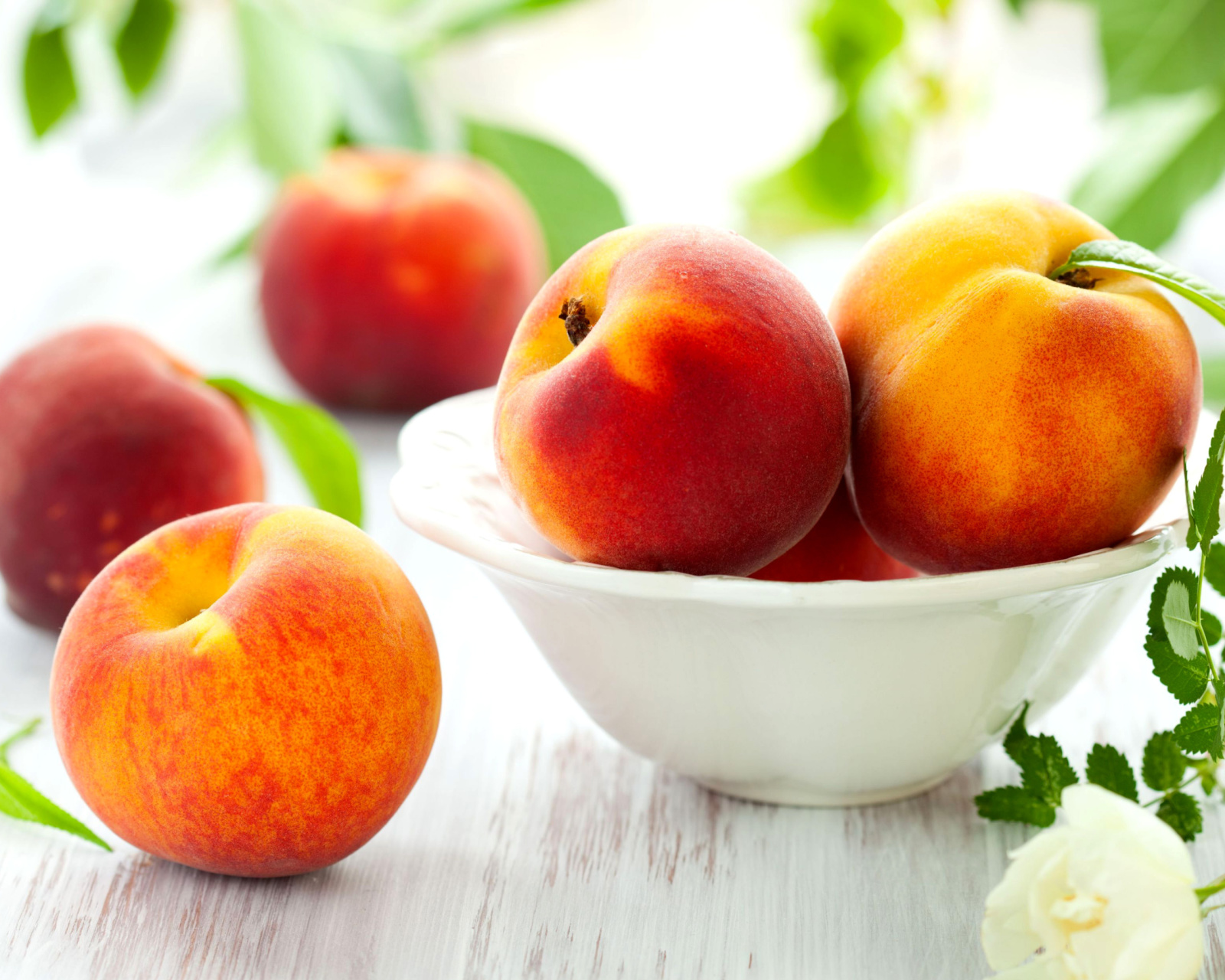 Nectarines and Peaches wallpaper 1600x1280