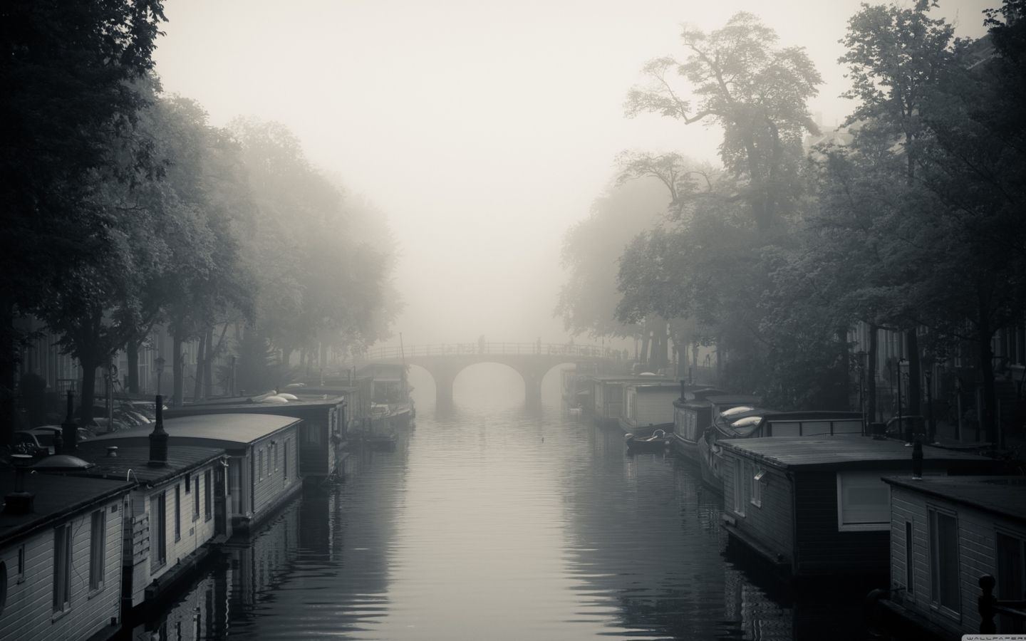 Screenshot №1 pro téma Misty Autumn In Amsterdam 1440x900