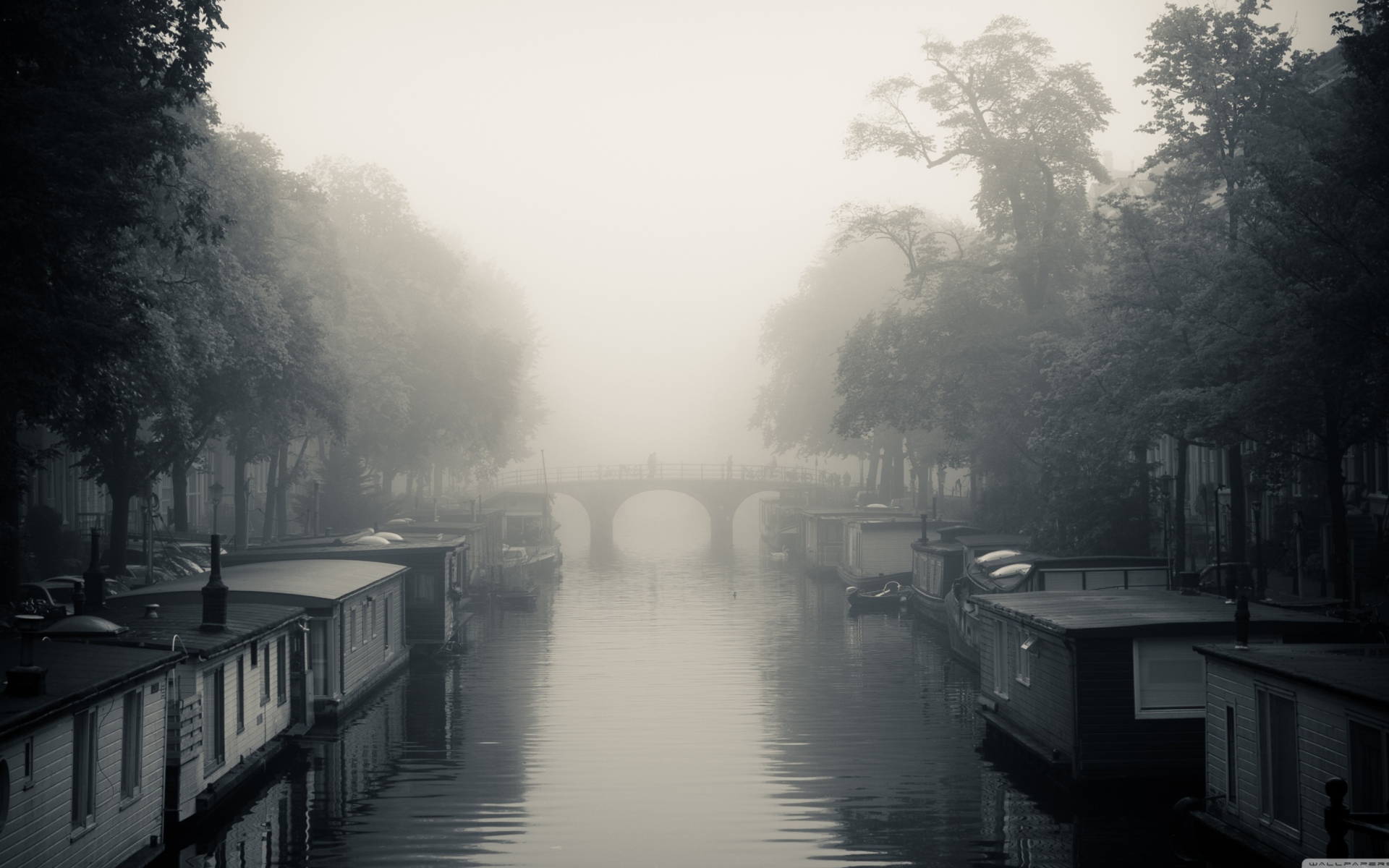 Sfondi Misty Autumn In Amsterdam 1920x1200