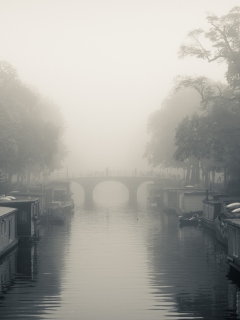Misty Autumn In Amsterdam screenshot #1 240x320