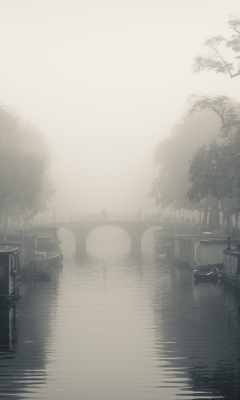 Das Misty Autumn In Amsterdam Wallpaper 240x400
