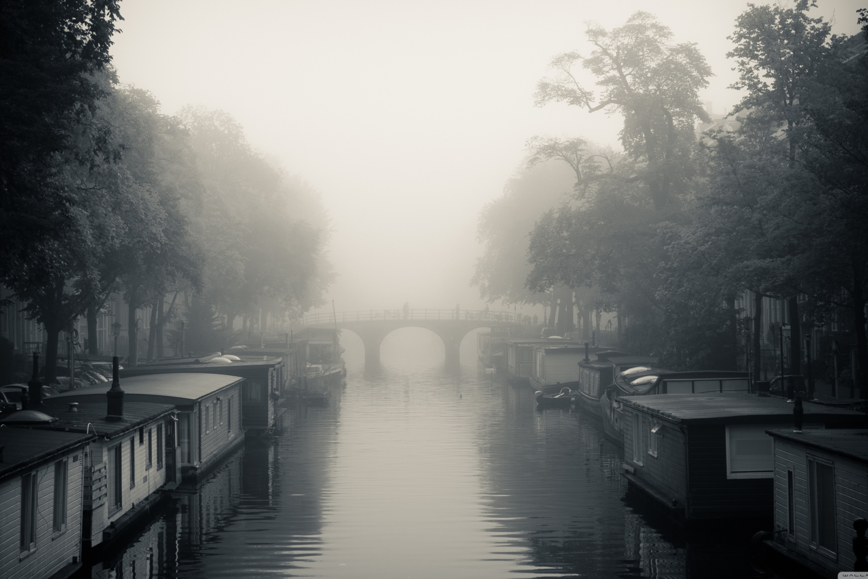 Screenshot №1 pro téma Misty Autumn In Amsterdam 2880x1920
