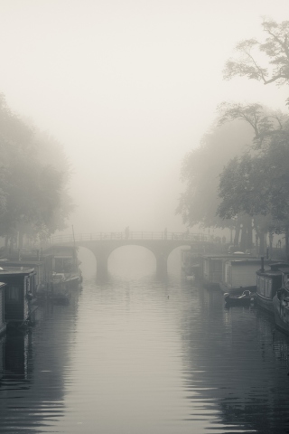 Fondo de pantalla Misty Autumn In Amsterdam 320x480