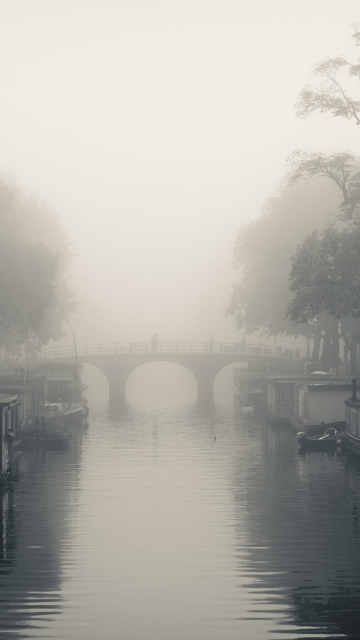 Das Misty Autumn In Amsterdam Wallpaper 360x640