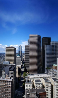 Seattle Town screenshot #1 240x400