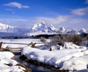 Screenshot №1 pro téma Grand Tetons in Winter, Wyoming 176x144