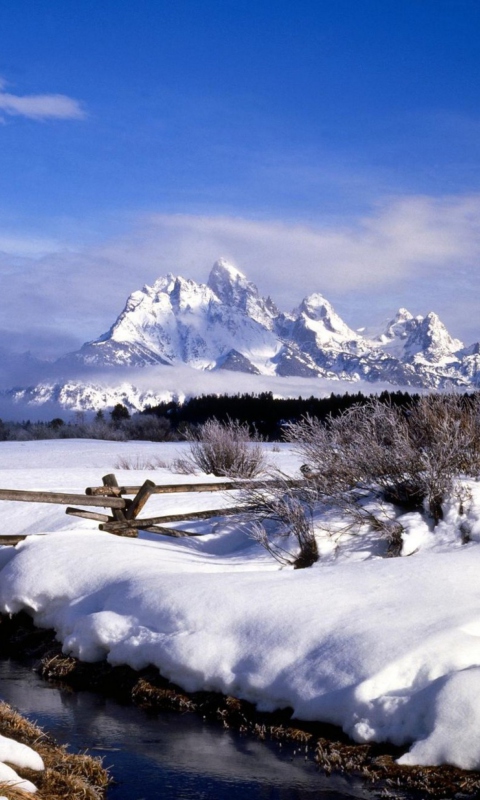 Обои Grand Tetons in Winter, Wyoming 480x800