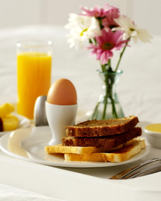 Continental Breakfast sfondi gratuiti per Nokia Asha 311