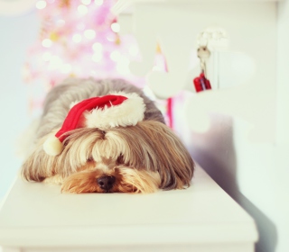 Картинка Christmas Puppy для телефона и на рабочий стол 1024x1024