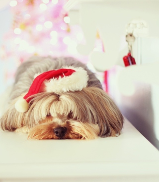Kostenloses Christmas Puppy Wallpaper für HTC Touch Diamond CDMA