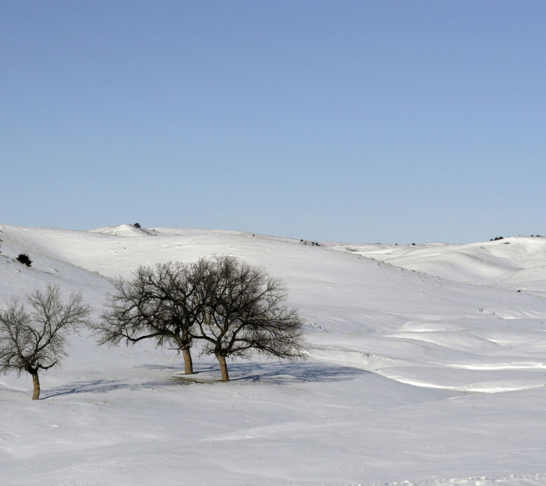 Fondo de pantalla Snowscape 1080x960