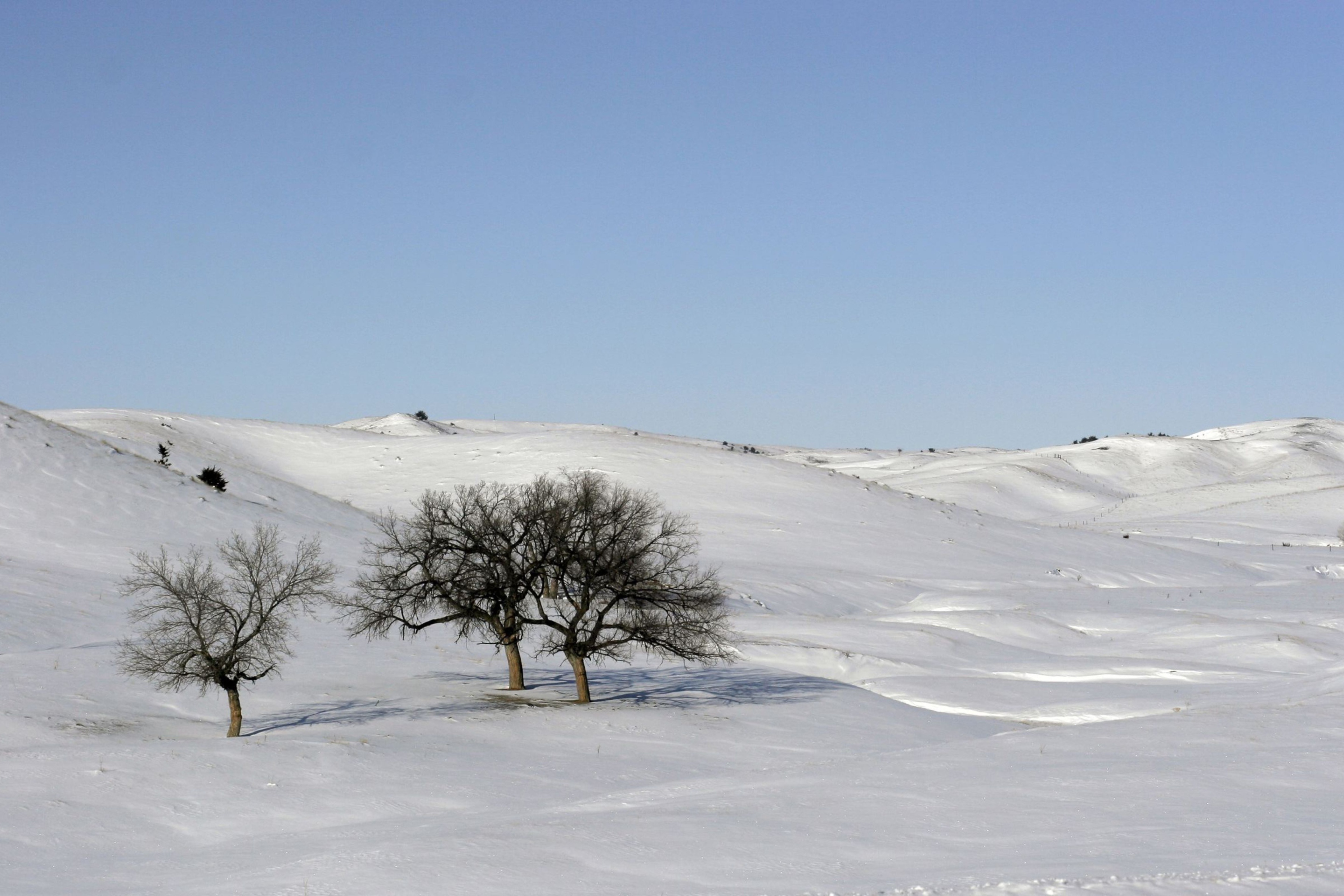 Обои Snowscape 2880x1920