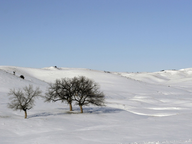 Snowscape screenshot #1 640x480