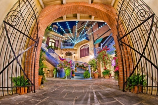 Free Disneylands Club 33 Picture for Android, iPhone and iPad