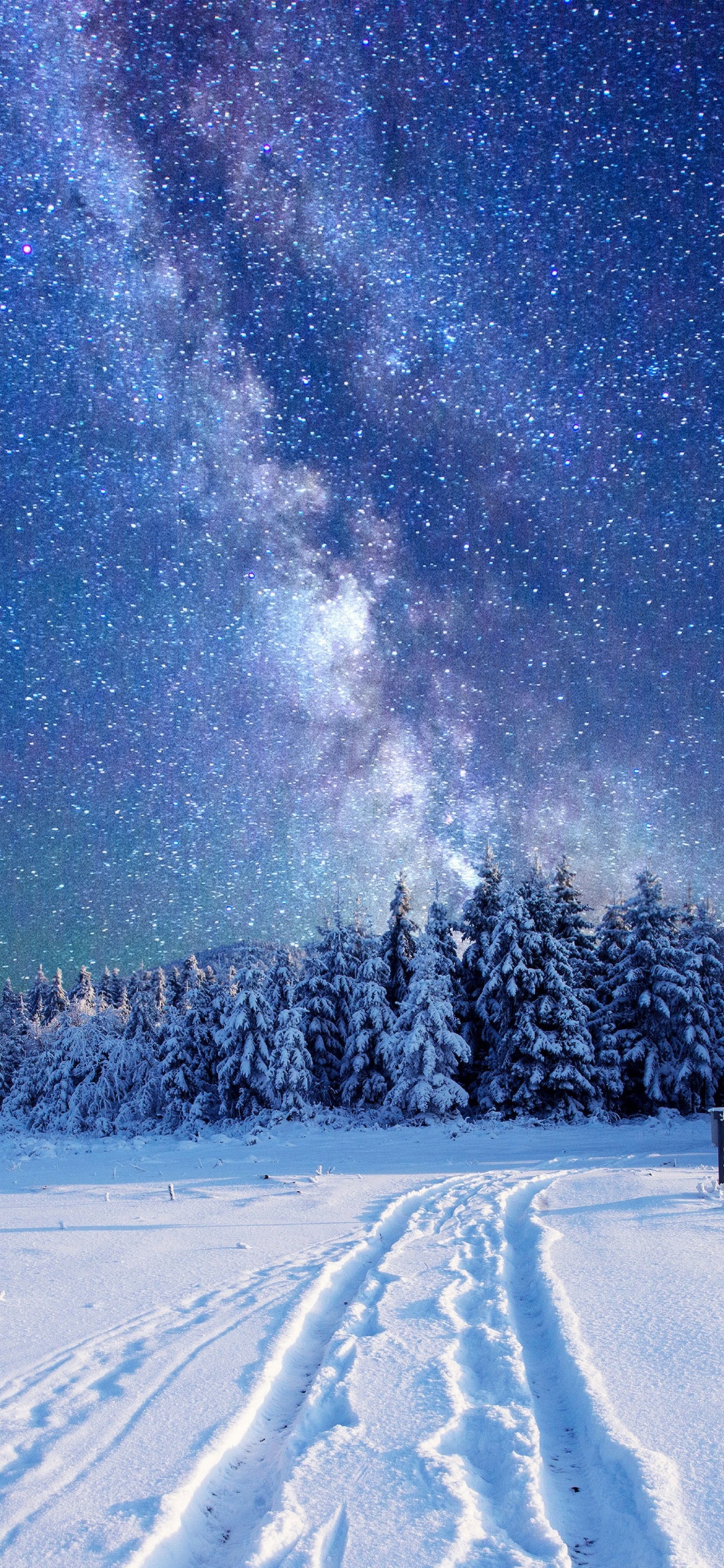 Das Milky Way on Winter Sky Wallpaper 1170x2532