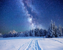 Das Milky Way on Winter Sky Wallpaper 220x176