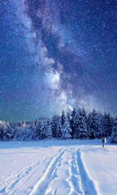 Screenshot №1 pro téma Milky Way on Winter Sky 240x400