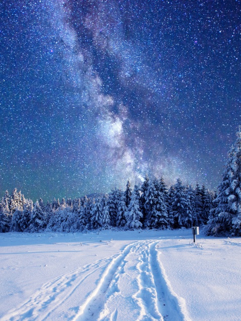 Das Milky Way on Winter Sky Wallpaper 480x640