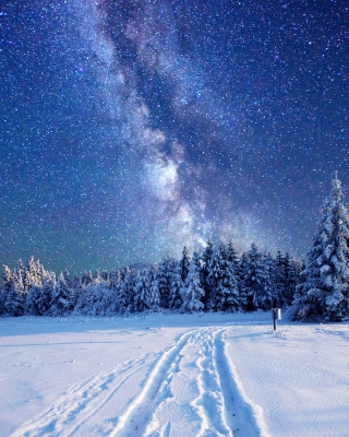 Milky Way on Winter Sky - Fondos de pantalla gratis para 320x480