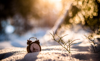 Winter Time - Obrázkek zdarma 