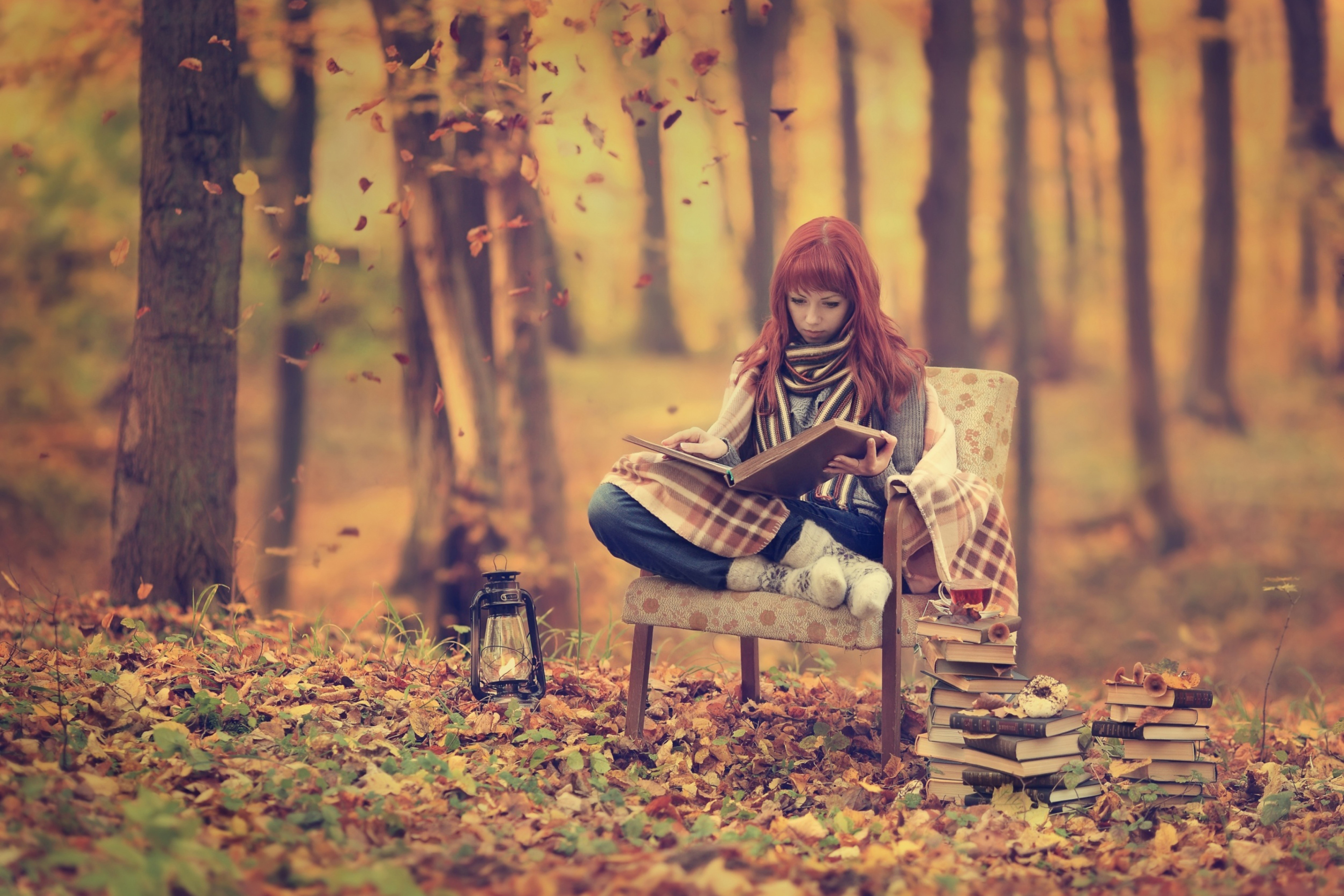 Das Girl Reading Old Books In Autumn Park Wallpaper 2880x1920