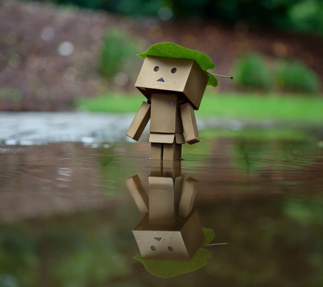 Danbo And Autumn wallpaper 1080x960