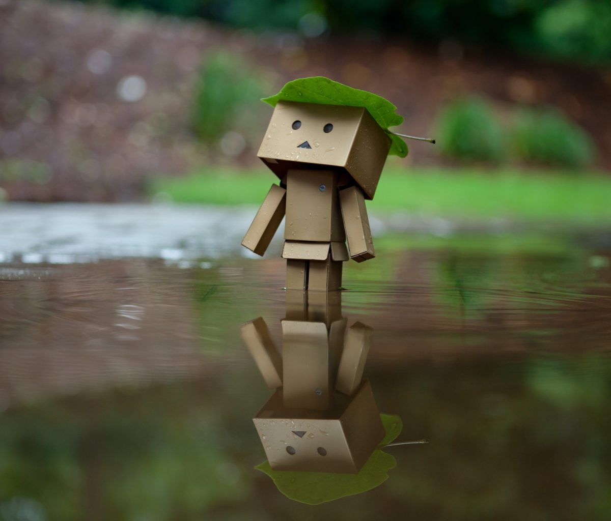 Danbo And Autumn wallpaper 1200x1024