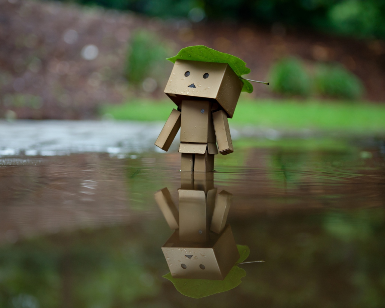 Обои Danbo And Autumn 1280x1024