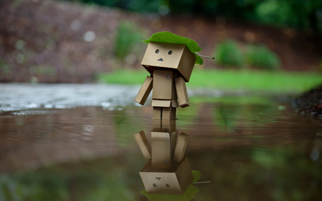 Danbo And Autumn wallpaper 1280x800