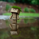 Danbo And Autumn wallpaper 128x128