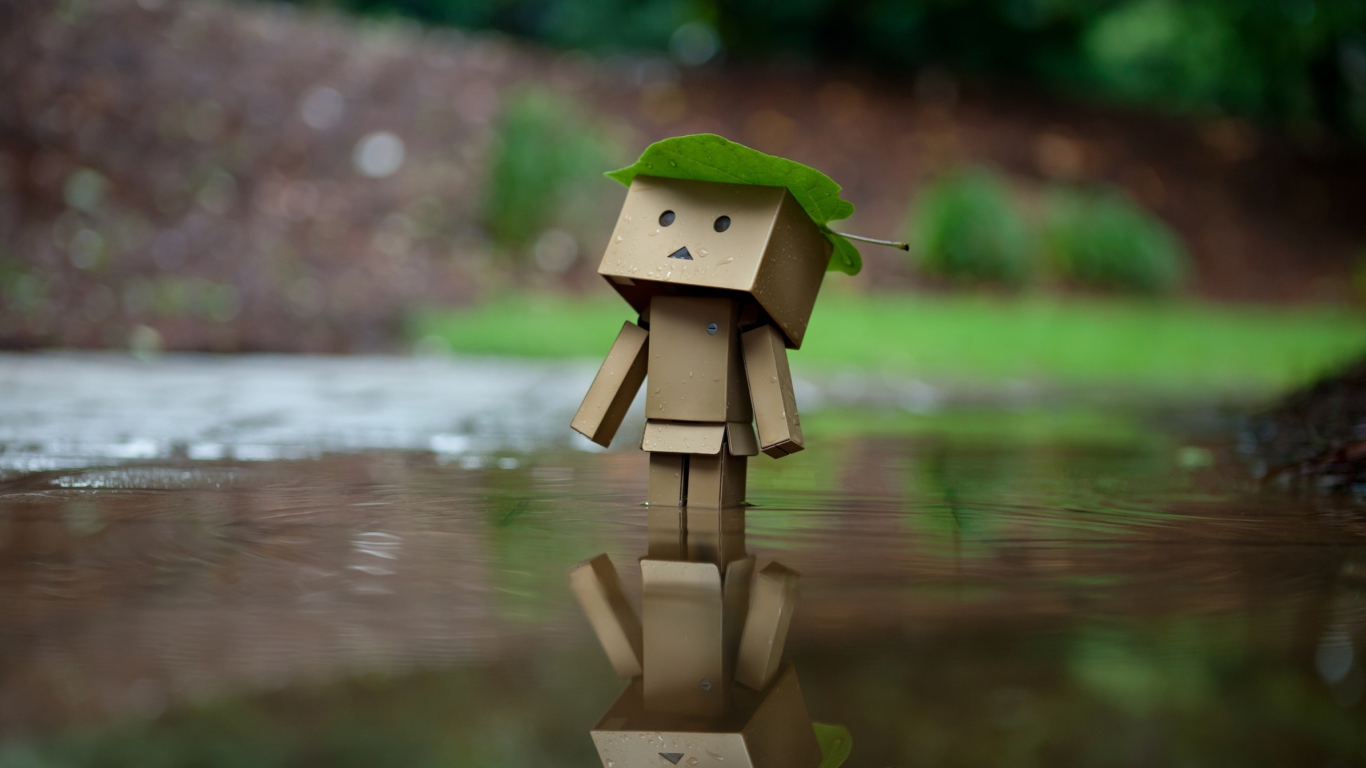 Danbo And Autumn wallpaper 1366x768