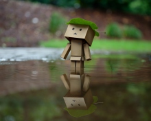 Danbo And Autumn wallpaper 220x176