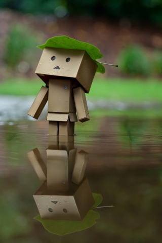 Danbo And Autumn wallpaper 320x480
