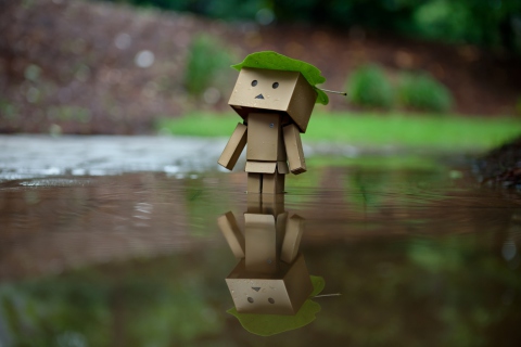Danbo And Autumn wallpaper 480x320