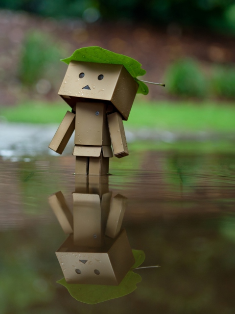 Danbo And Autumn wallpaper 480x640