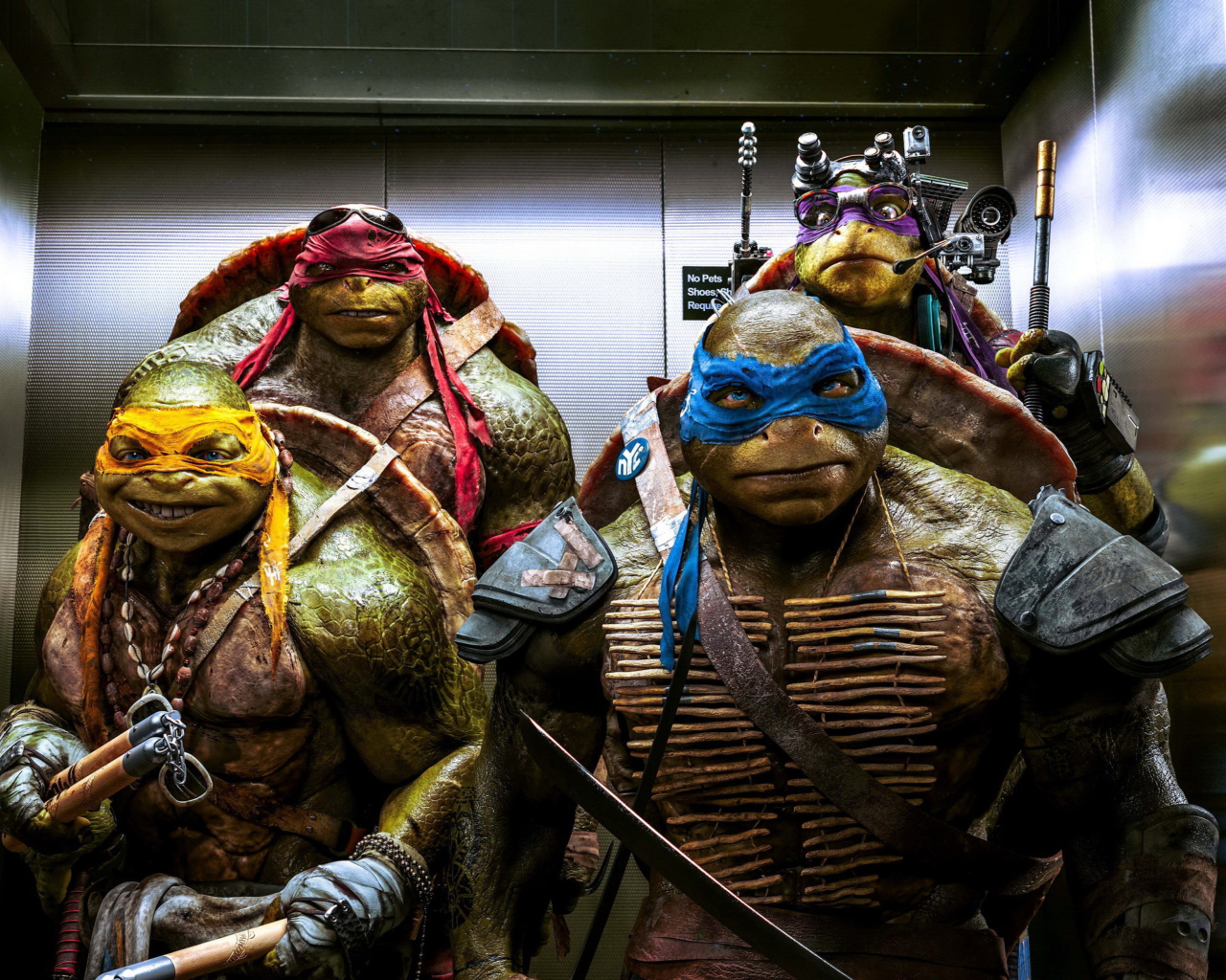 Ninja Turtles wallpaper 1280x1024