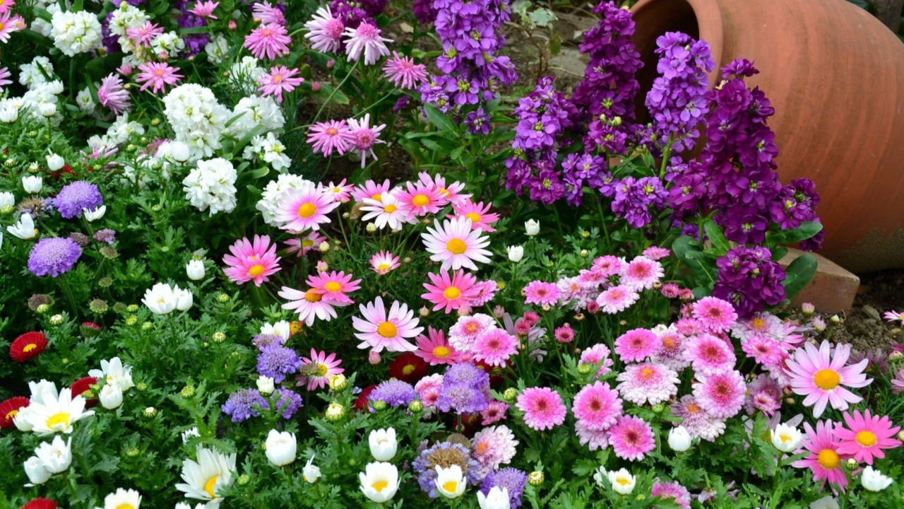 Colorful Garden wallpaper 1280x720