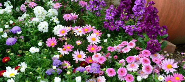 Colorful Garden wallpaper 720x320