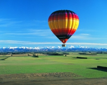 Das Up Up Away Balloon Wallpaper 220x176