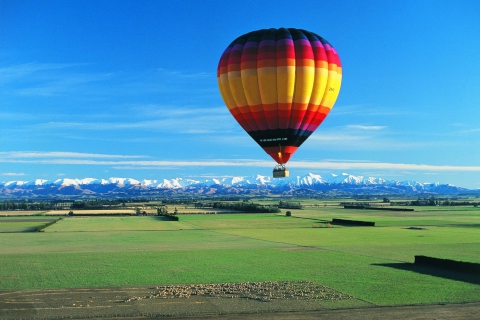 Das Up Up Away Balloon Wallpaper 480x320
