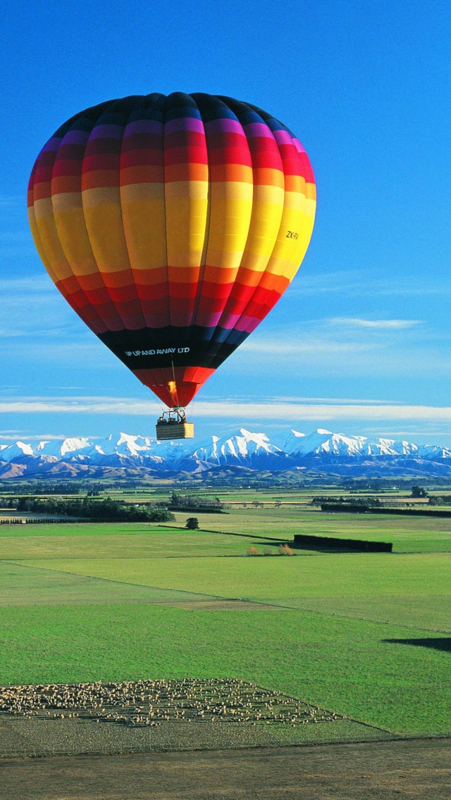 Up Up Away Balloon wallpaper 640x1136